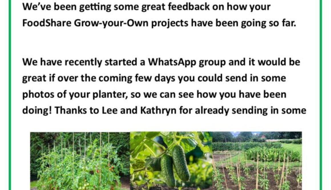 Grow Your Own Updatw 11.7 page 1.668fe825327a98.07528331